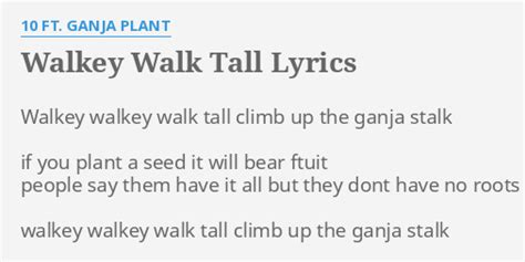 walk tall lyrics|walking tall song lyrics.